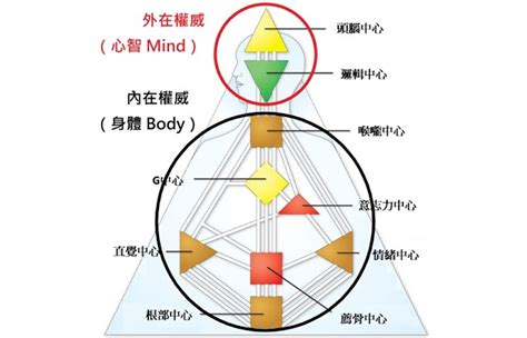 人類圖分析網站|人類圖報告書